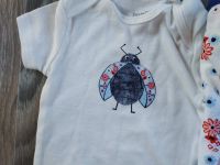 Бодіки бавовняні Lupilu... 2